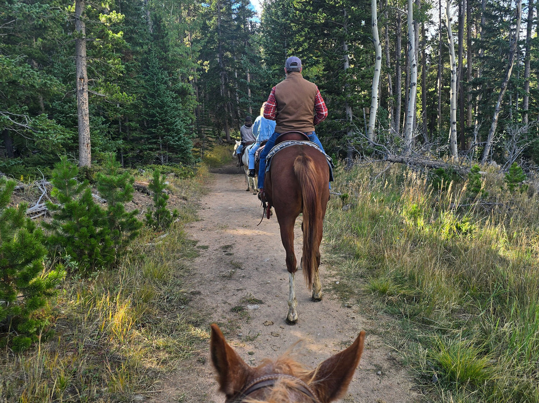 Elkhorn Stables-埃斯蒂斯公园必去景点