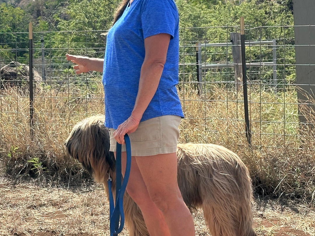 Haleakala Creamery-库拉必去景点