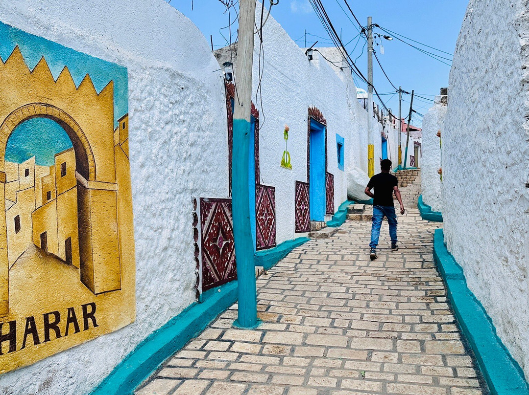 Teddy Harar tour-哈勒尔必去景点