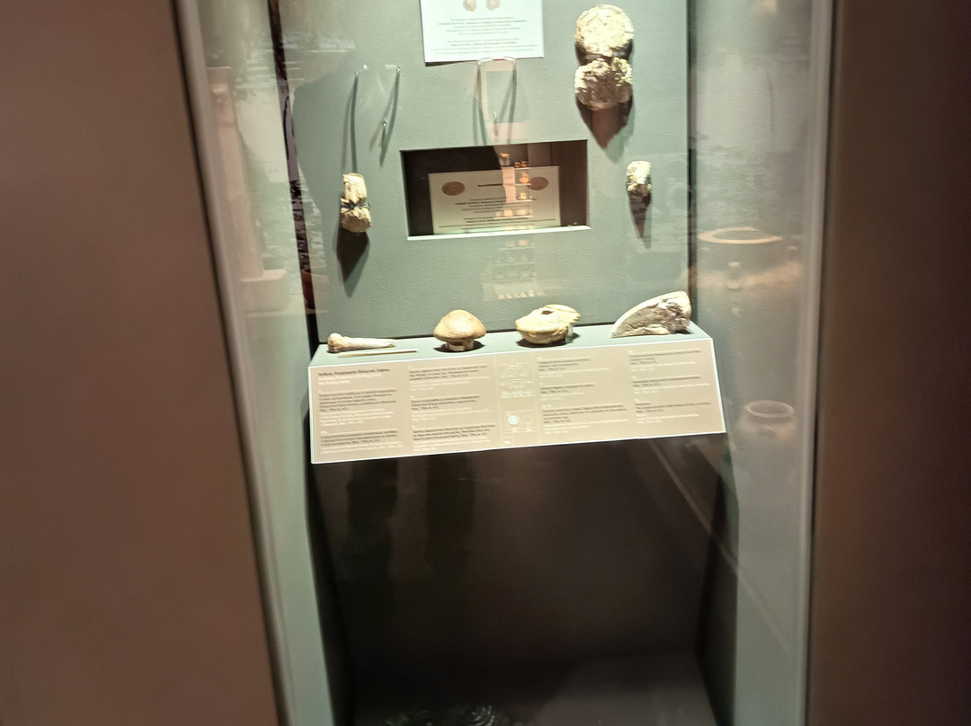 Archaeological Museum of Messenia-卡拉马塔必去景点