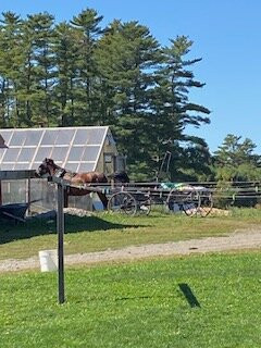 Troyer Family's Happy Farm