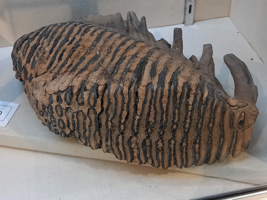 Lowewood Museum-Hoddesdon必去景点