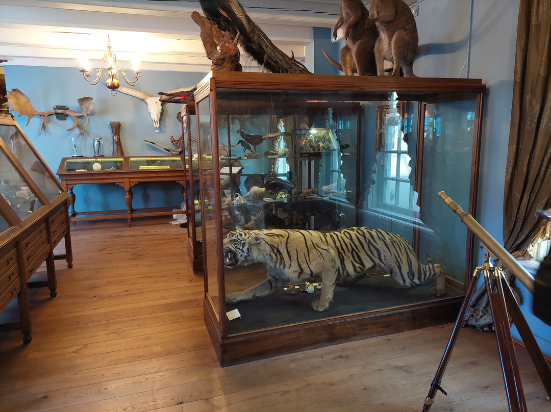 Natuurmuseum Fryslan-吕伐登必去景点