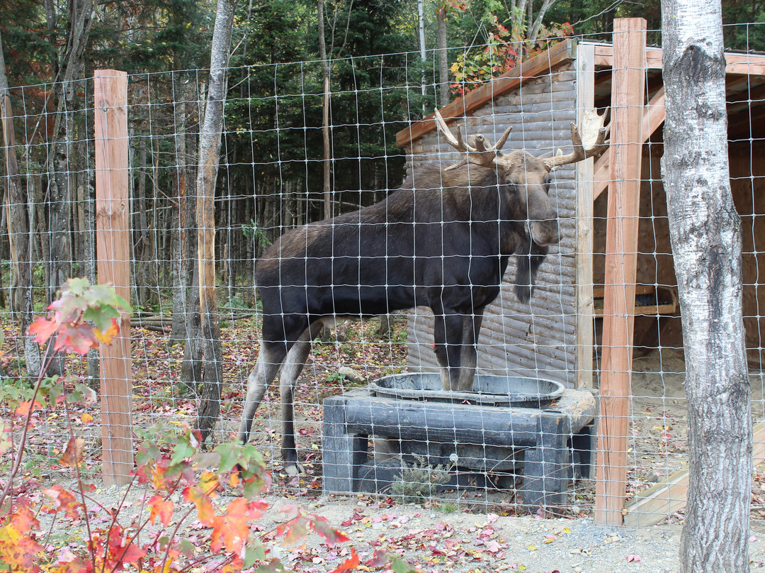 Miller Zoo-Frampton必去景点