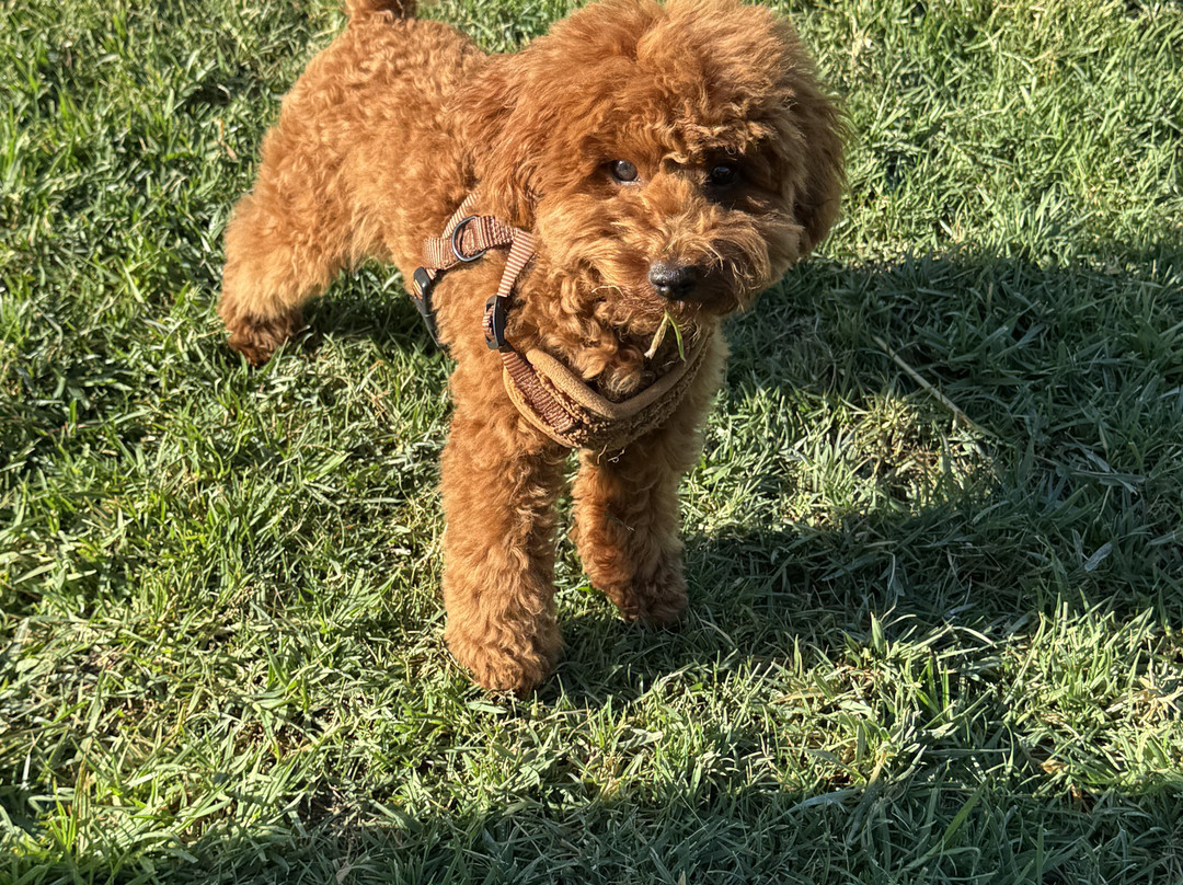 Casa Branca Turismo Rural主图