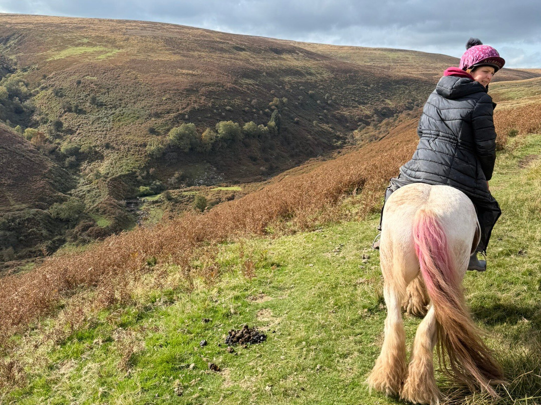 Grange Trekking Centre Guest House主图