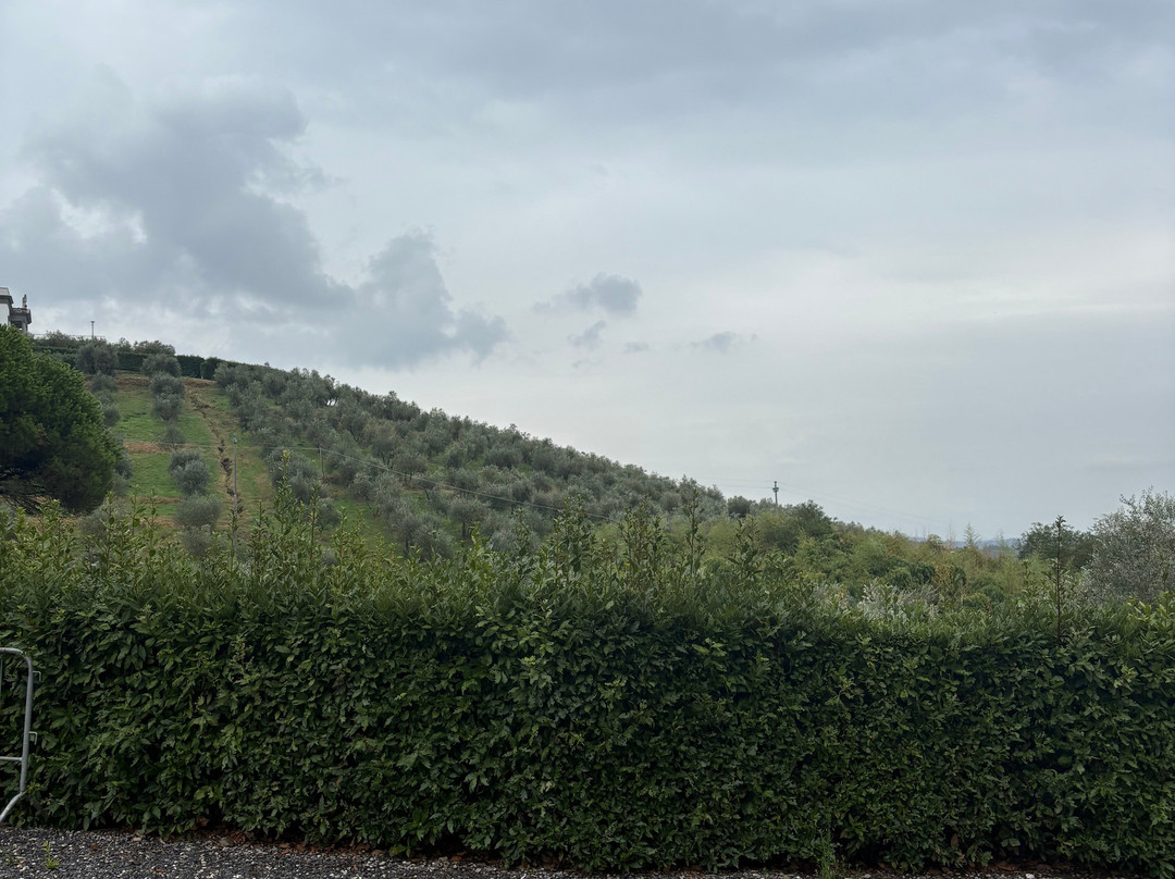 Azienda Agricola La Badiola-Matraia必去景点