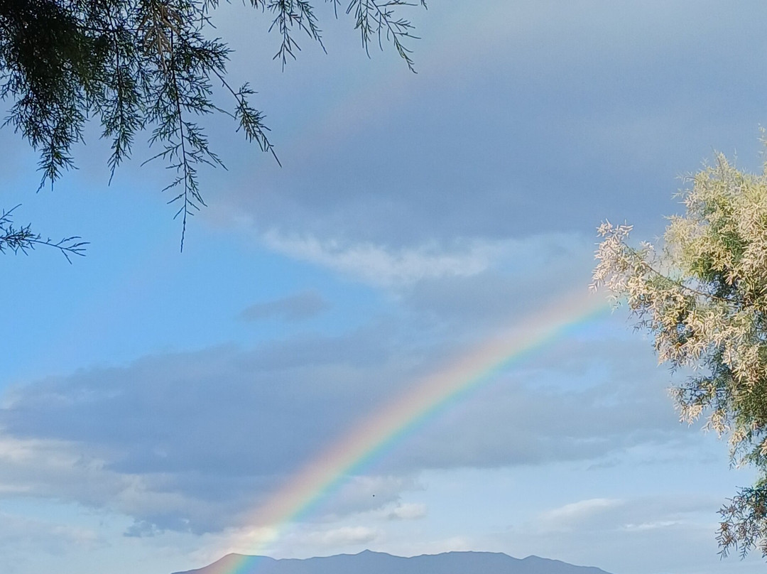 诺缇勒斯海湾酒店主图