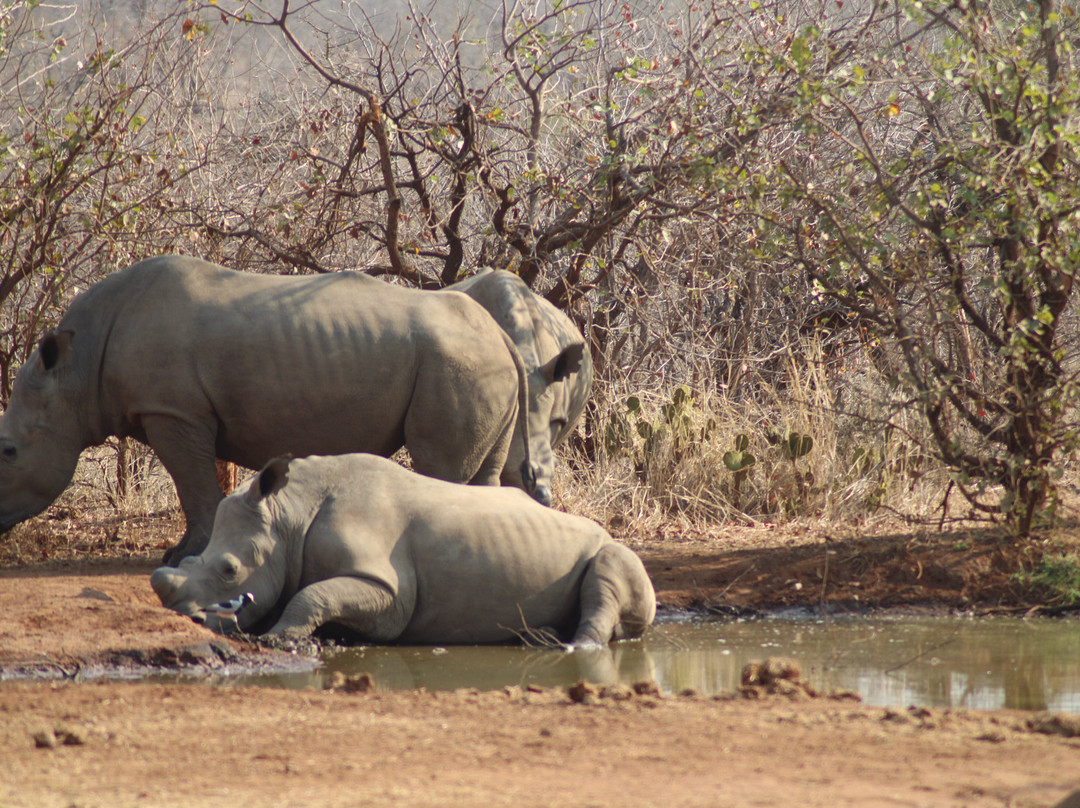 Ngalali Retreat主图