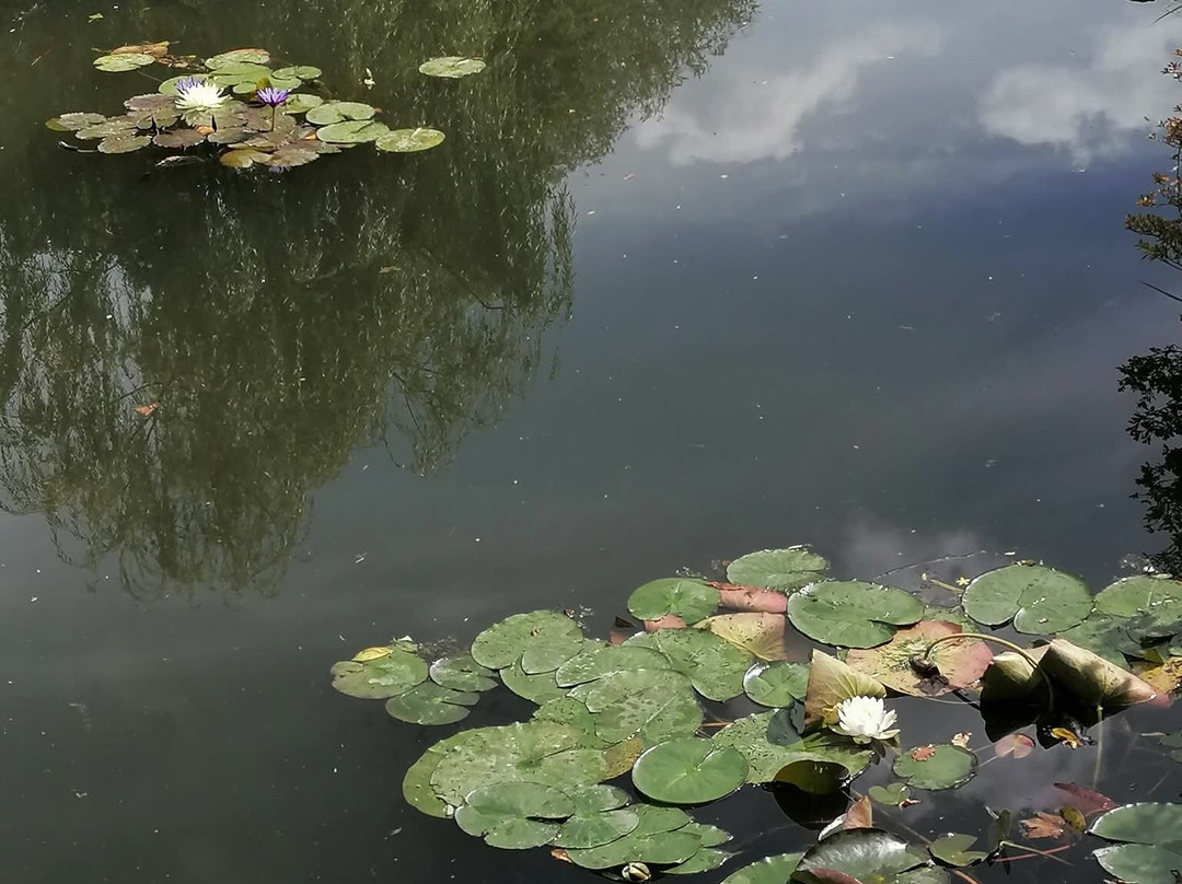 Turi Turi-贝加莫必去景点