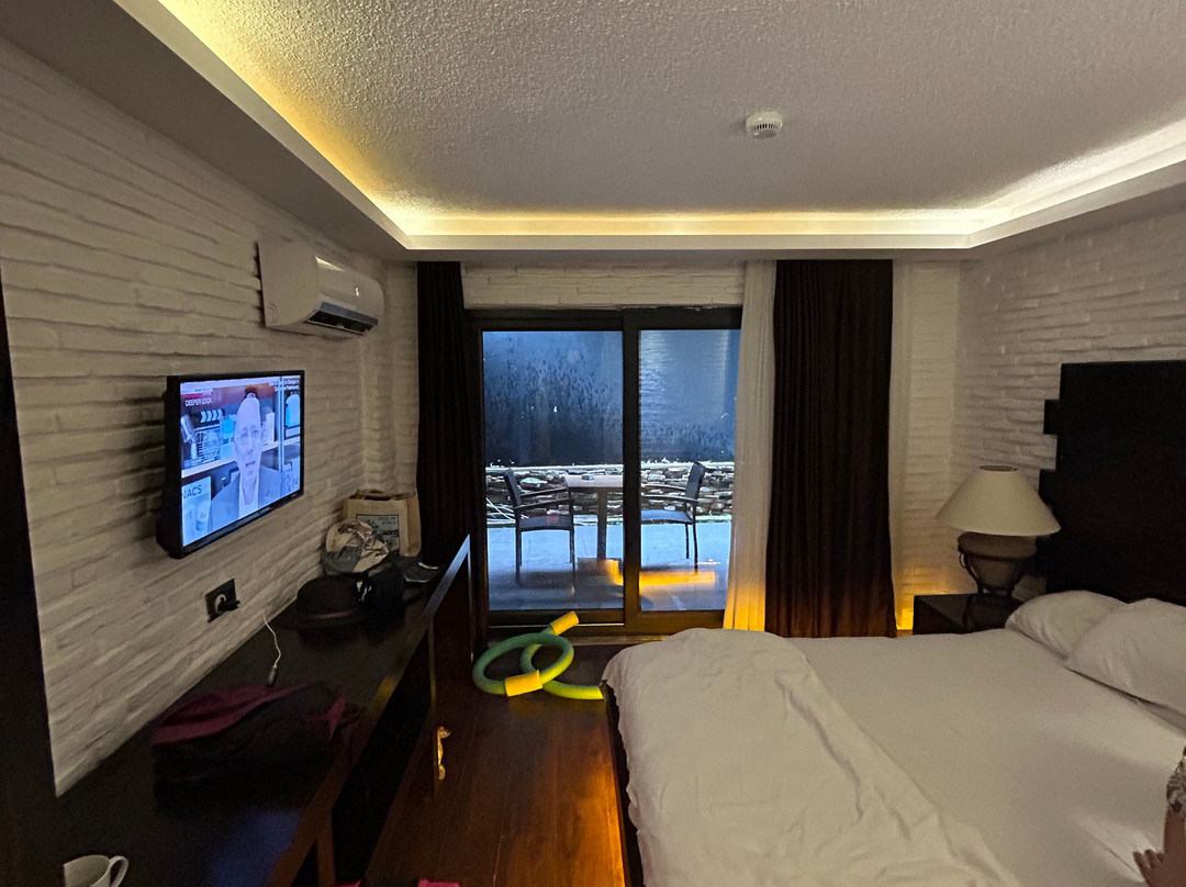 Manaspark Deluxe Hotel主图