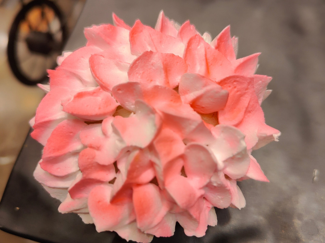 Hyatt Place Vijayawada主图