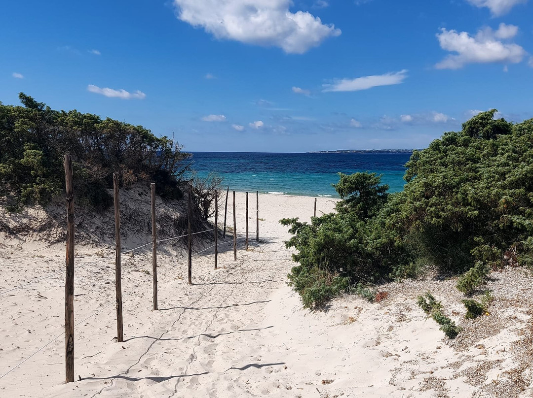 Spiaggia Grande-Calasetta必去景点