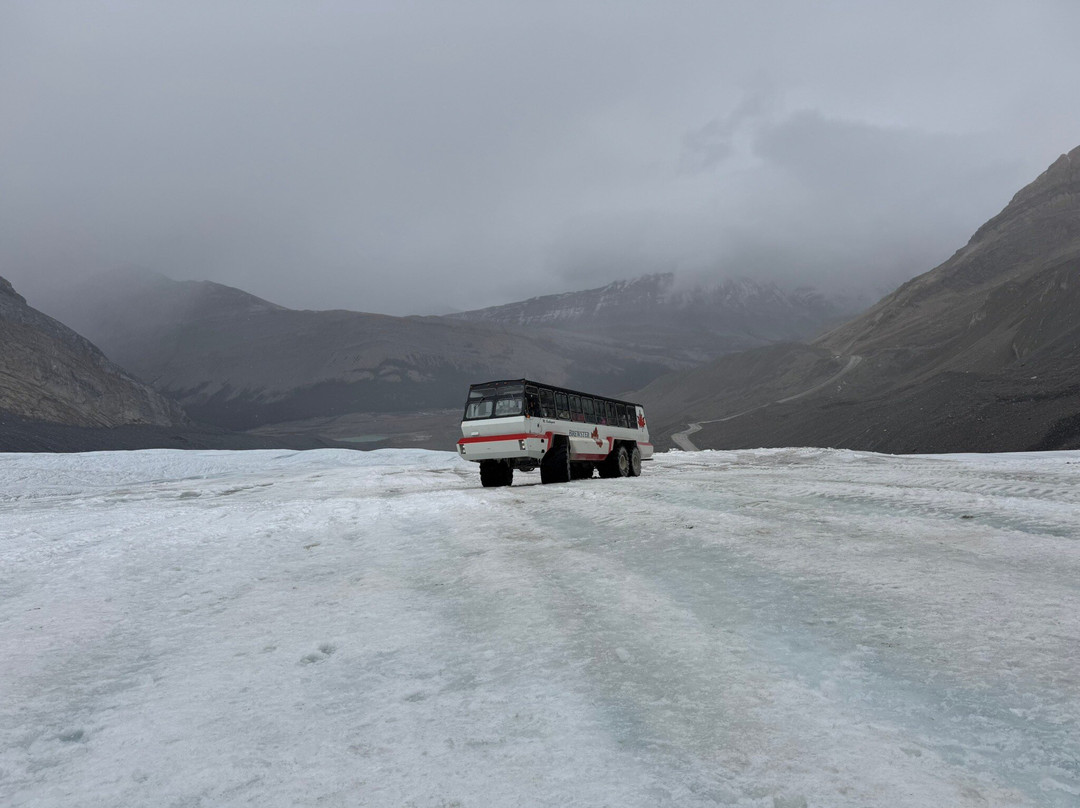 Athabasca Glacier-贾斯珀国家公园必去景点