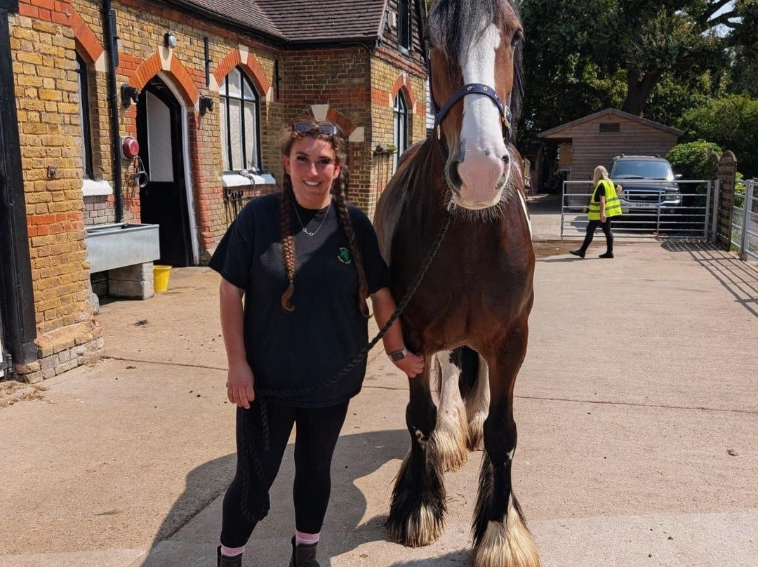 Belfairs Riding School-Leigh-on Sea必去景点