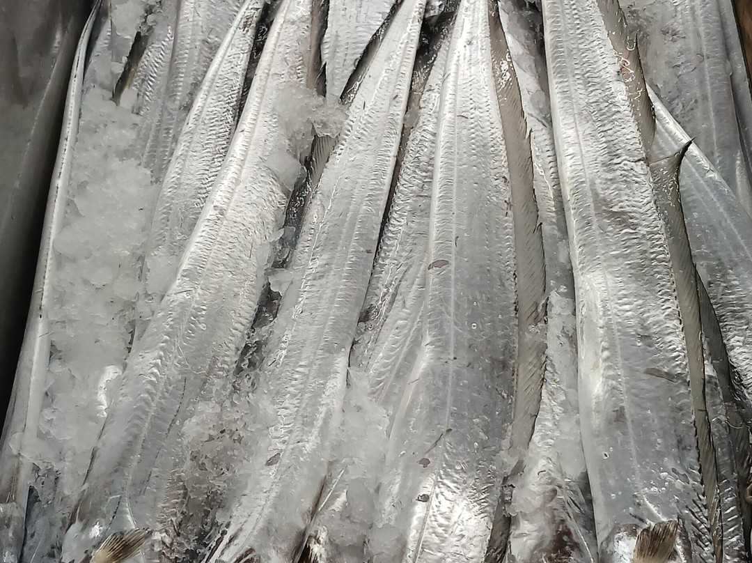 Mutrah Fish Market-马斯喀特必去景点