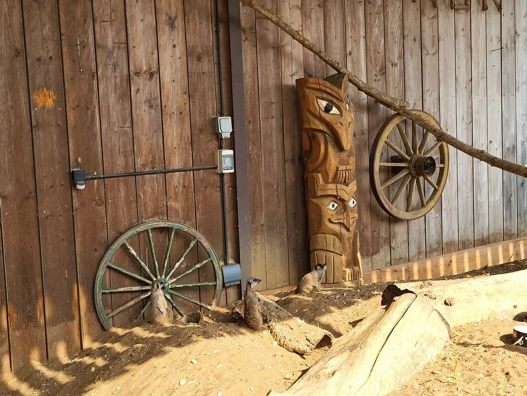 Tattershall Farm Park-Tattershall必去景点
