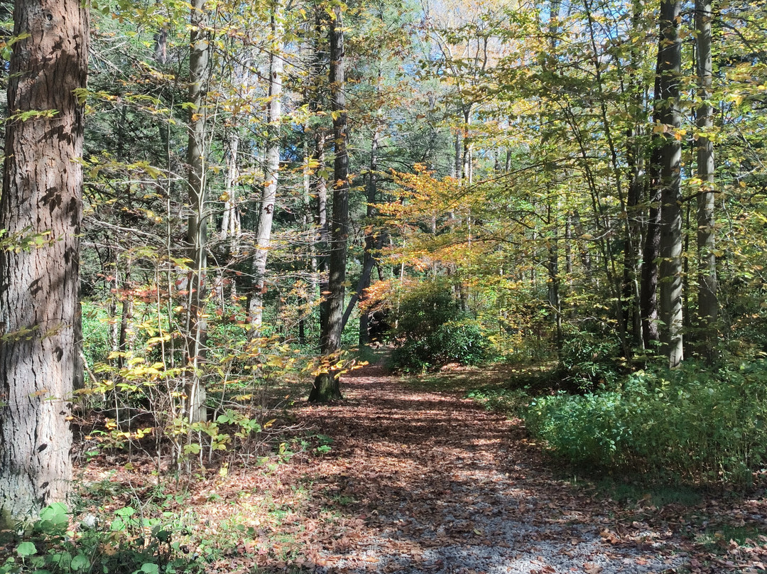 Kooser State park-萨默塞特必去景点