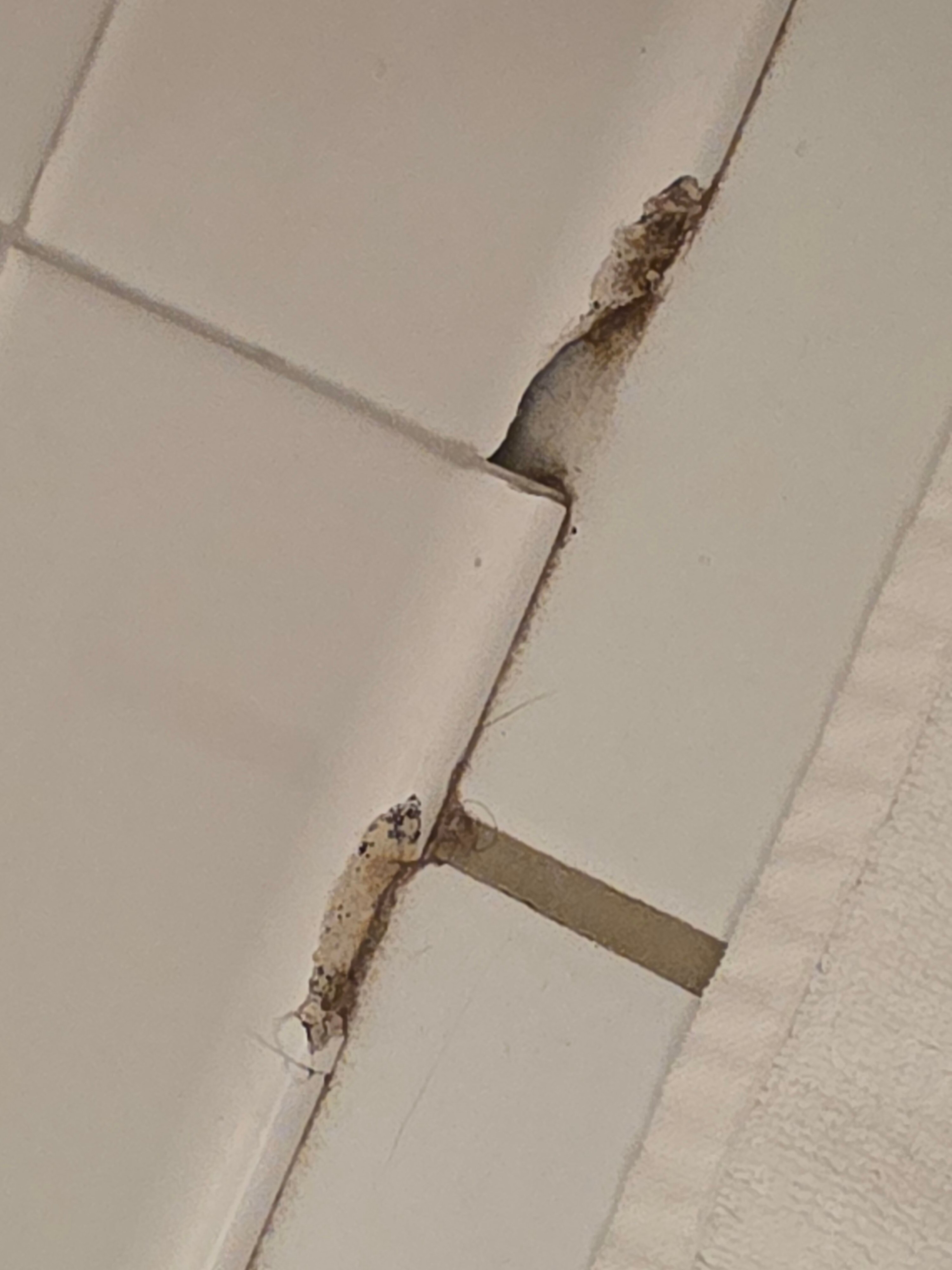 Eagle Mountain House & Golf Club-浴室