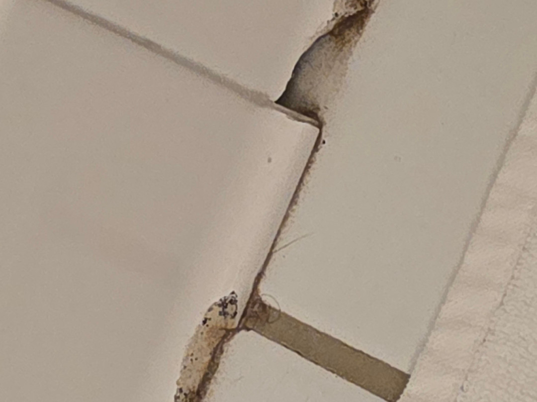 Eagle Mountain House & Golf Club主图