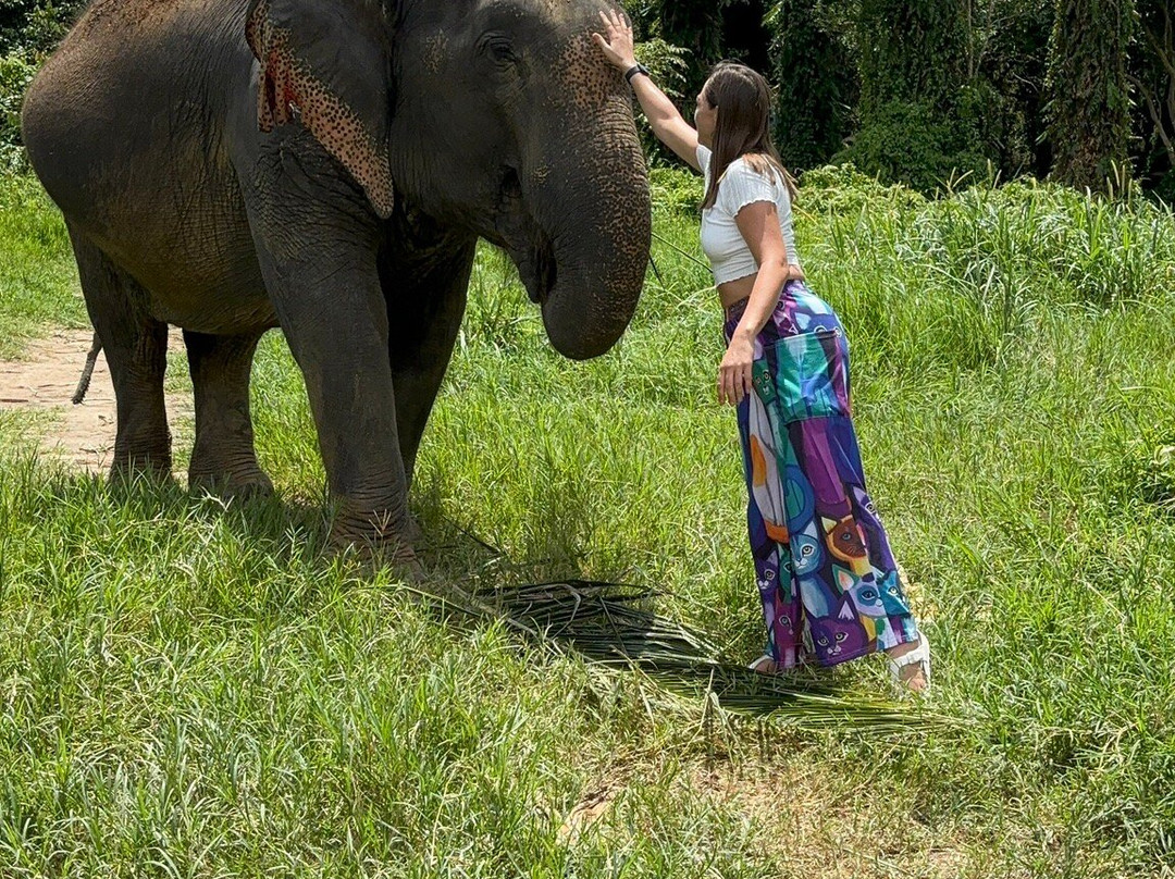 I Love Elephant Samui-Na Mueang必去景点