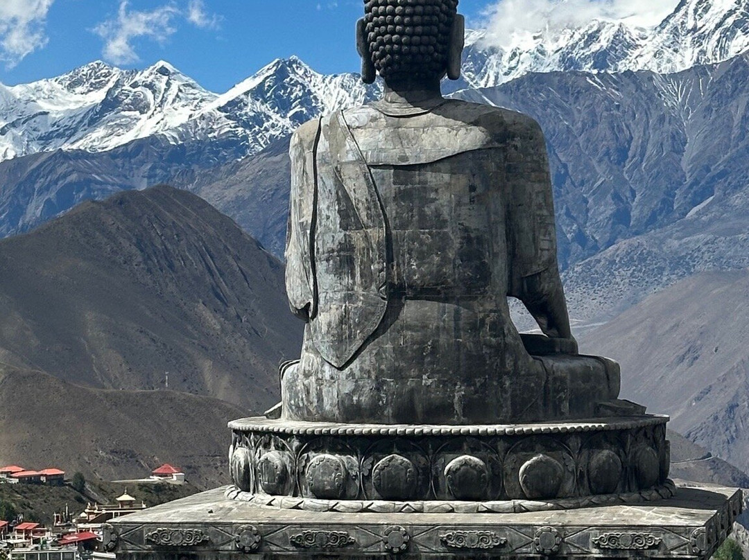 Shinta Mani Mustang主图