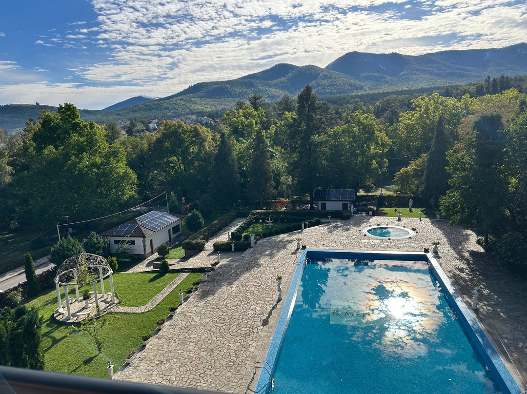 Medicus SPA hotel主图