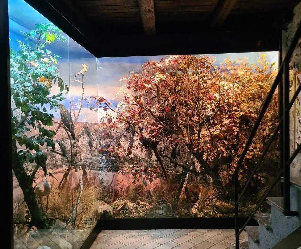 Il Nibbio-Morano Calabro必去景点