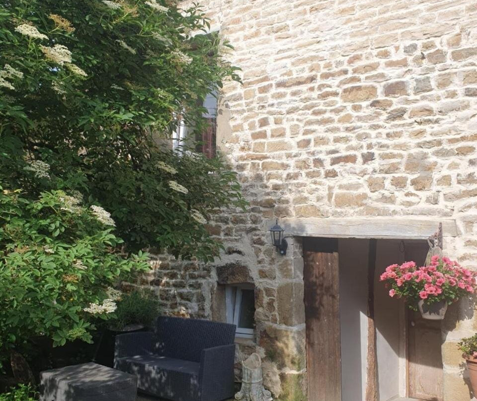 Le Sanglier Sauvage