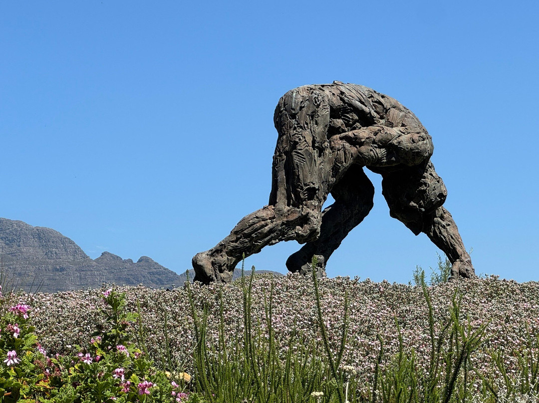Dylan Lewis Sculpture  Garden-斯泰伦博斯必去景点
