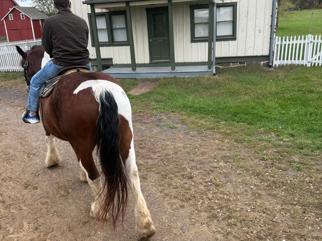 Hickory Hollow Horse Farm-葛底斯堡必去景点