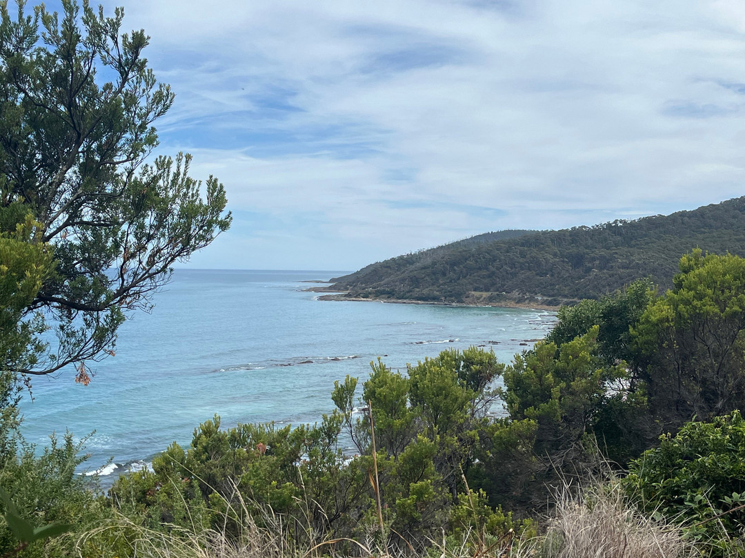 Cumberland River-洛恩必去景点