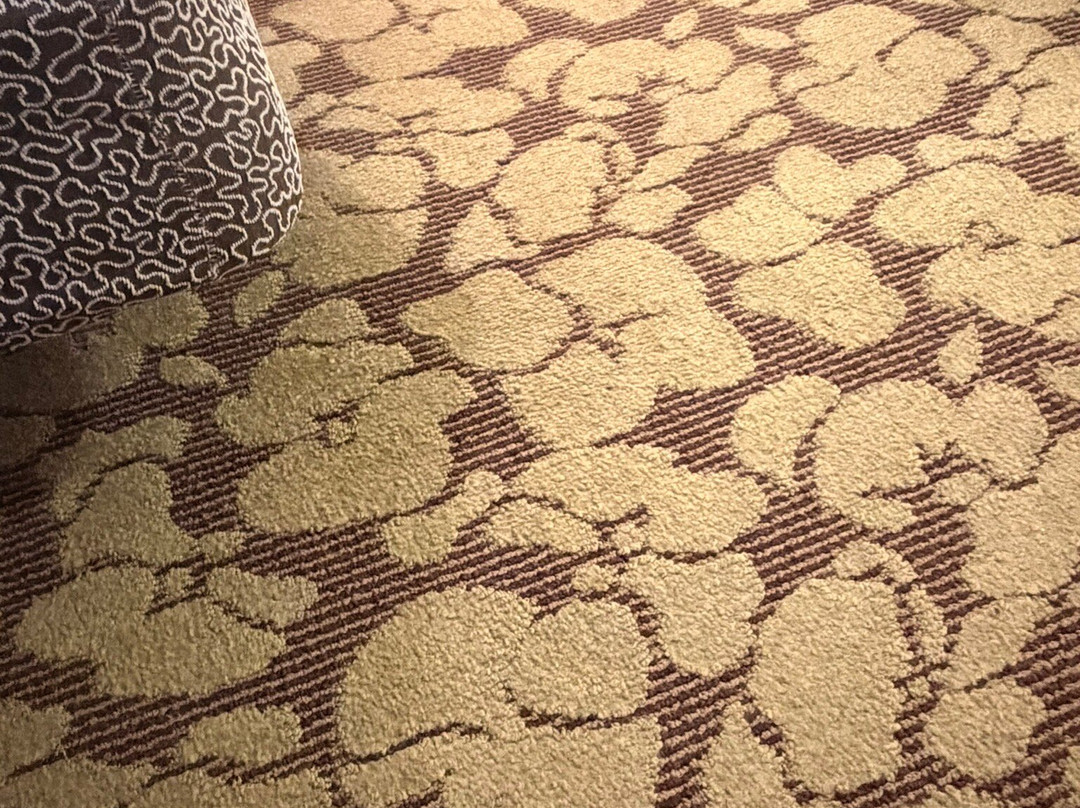 西门罗希尔顿花园酒店主图