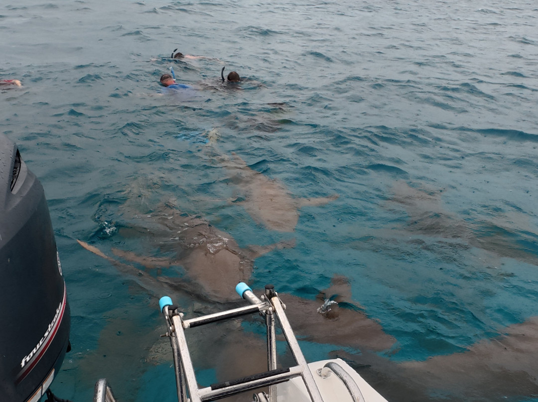 Reef Rangers Ukulhas-乌库拉斯必去景点