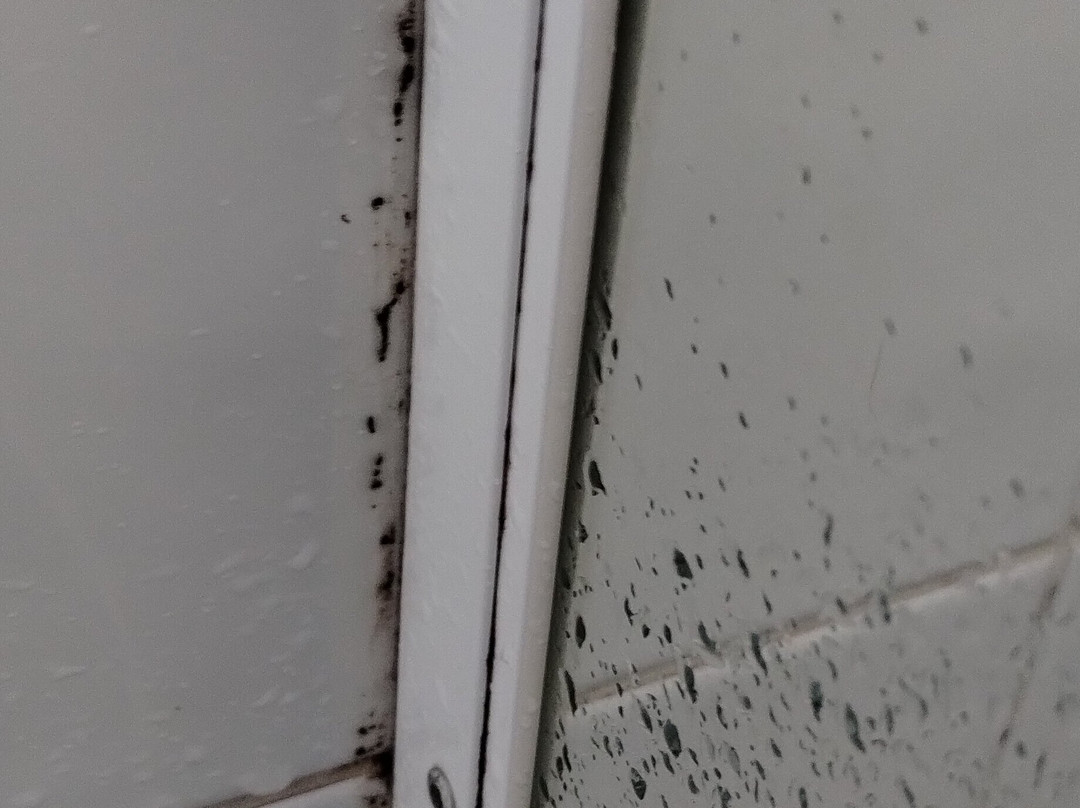 Bathurst Motor Inn主图