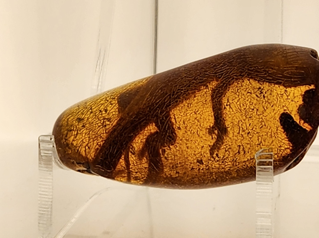 Museum of Amber - Museum of Gdansk-格但斯克必去景点