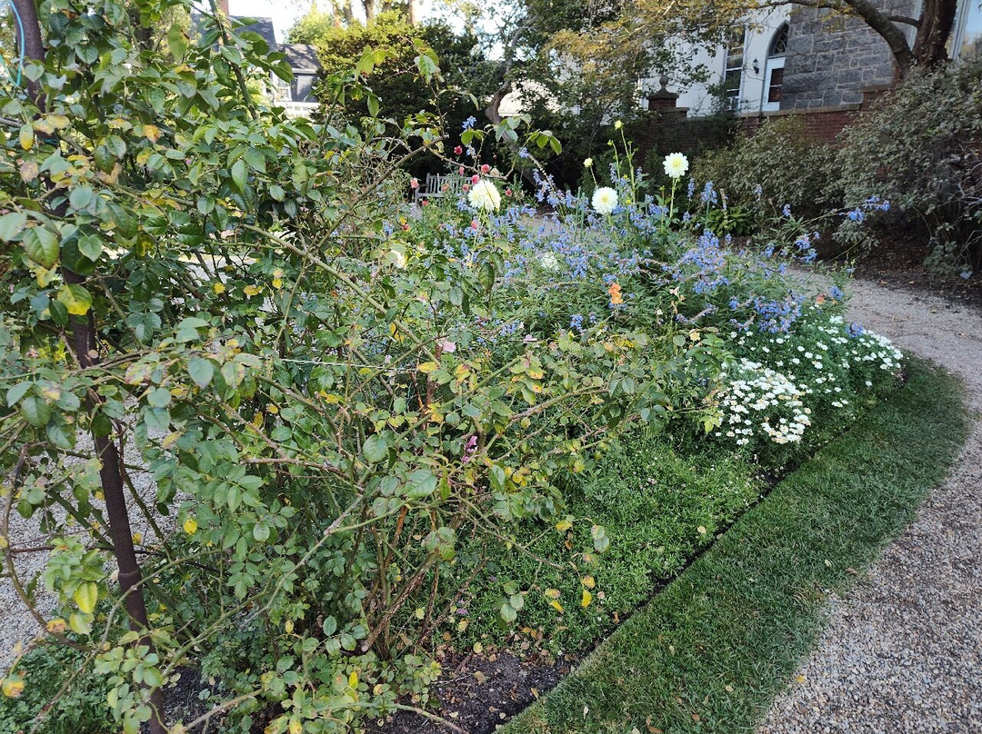 Ropes Mansion and Garden-塞勒姆必去景点