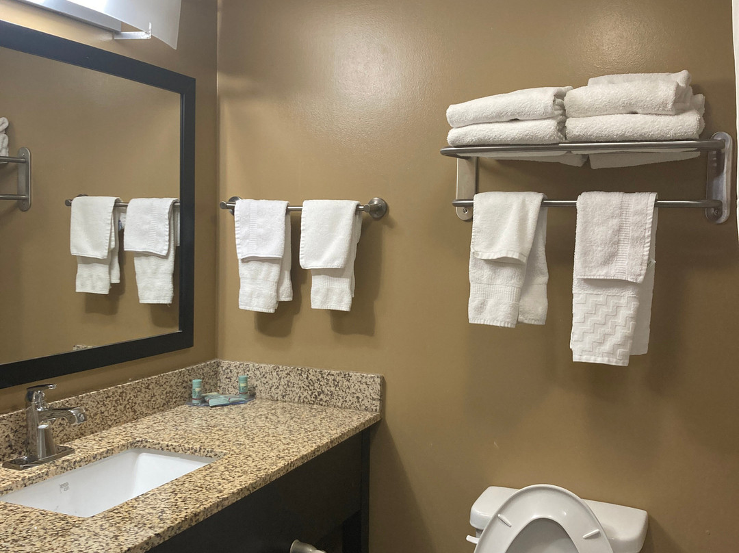 Spark by Hilton Kimball主图