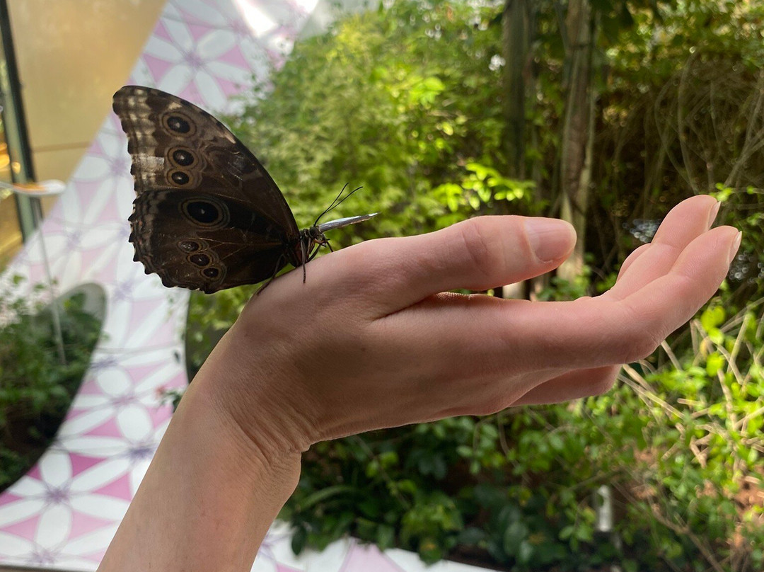 Al Noor Island-沙迦必去景点