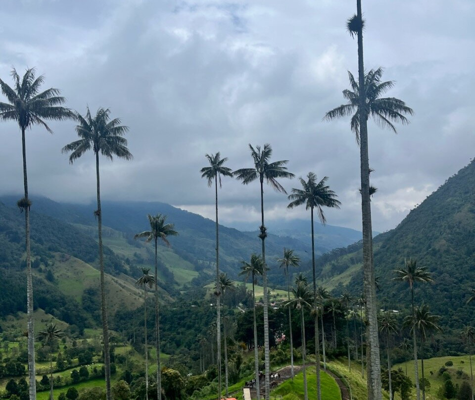 Lulo Colombia-波哥大必去景点