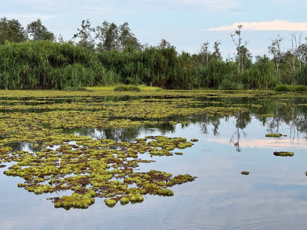 Wow Borneo-帕朗卡拉亚必去景点
