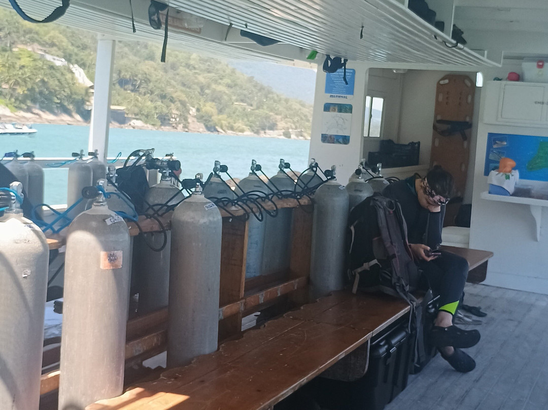 Narwhal-伊利亚贝拉必去景点