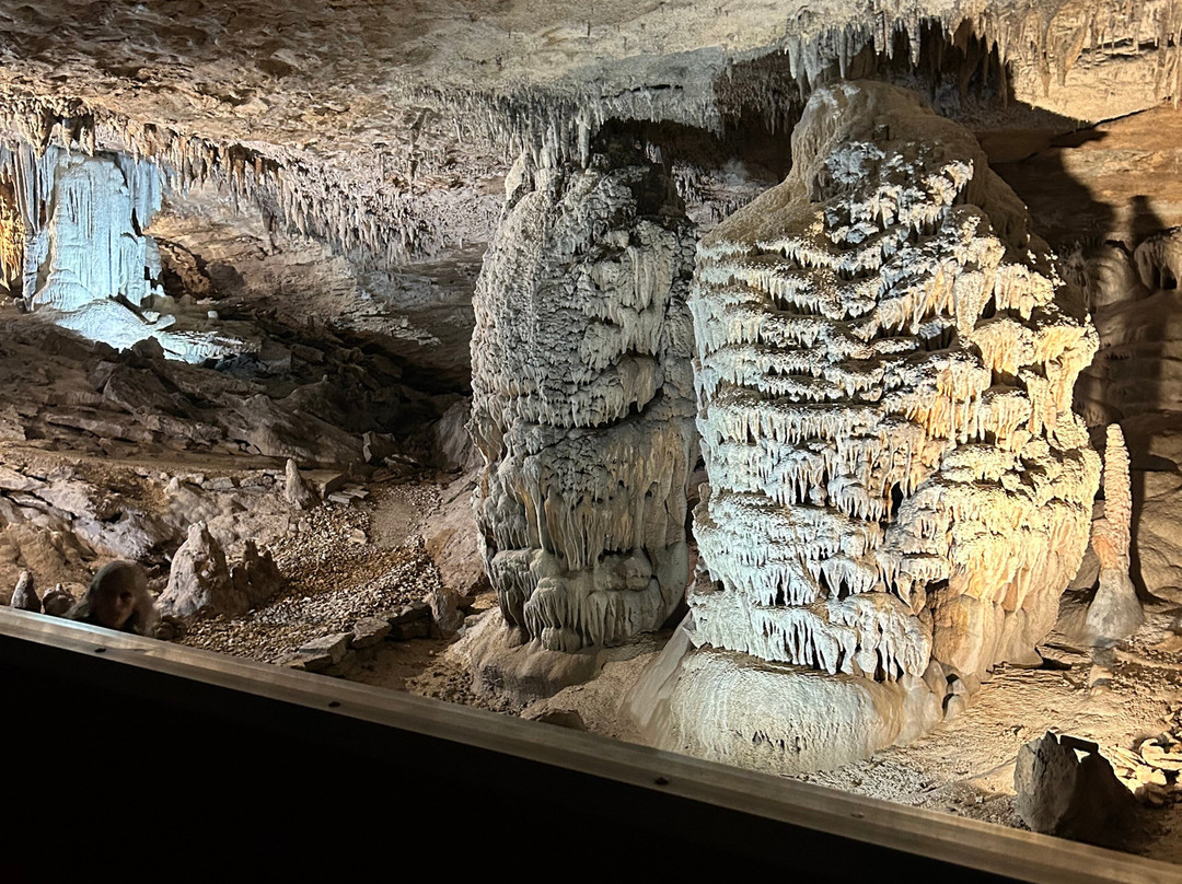 Fantastic Caverns-斯普林菲尔德必去景点