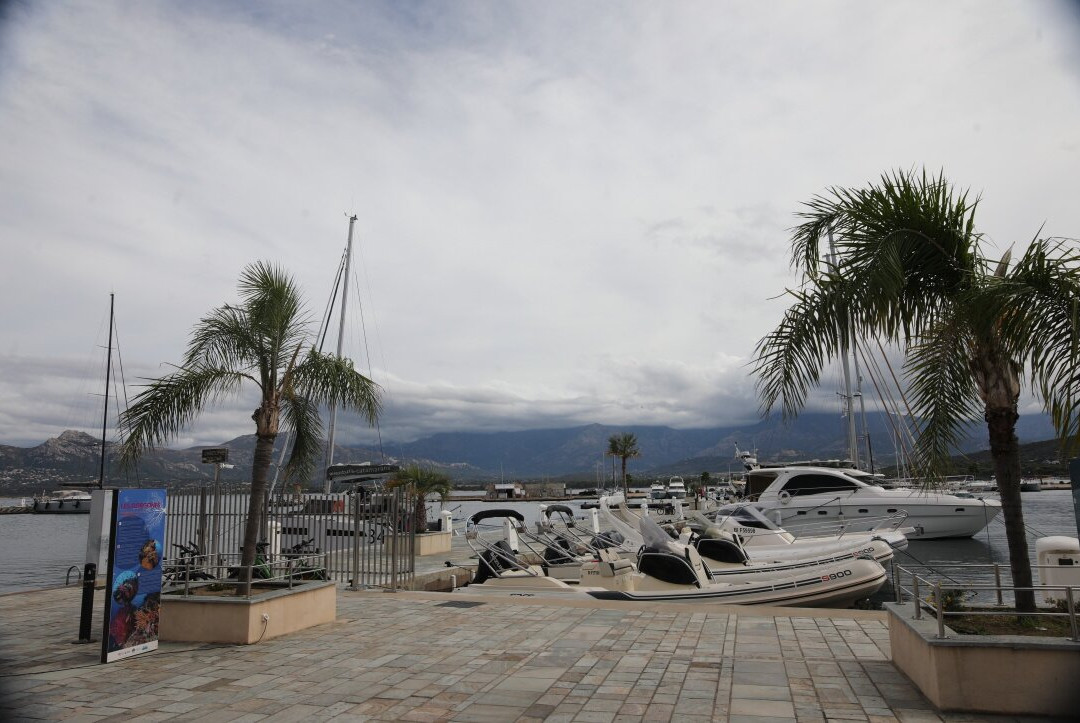 Port de Plaisance-卡尔维必去景点