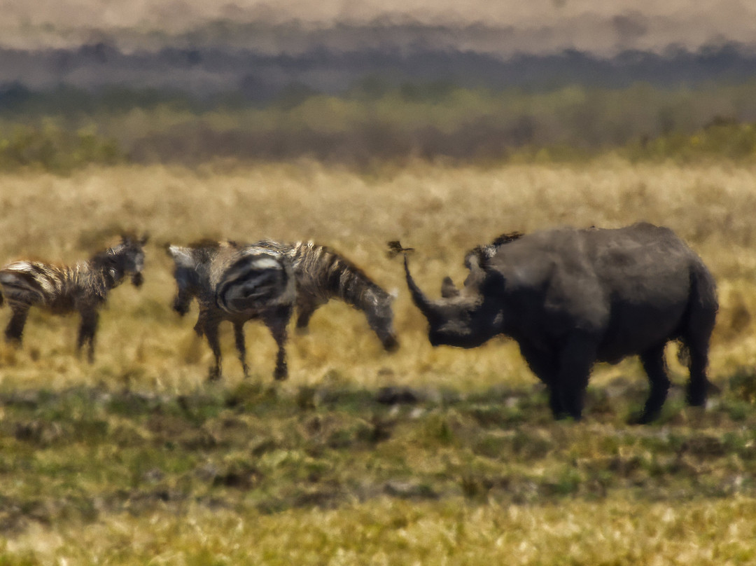 Sense of Africa, Namibia-温德和克必去景点