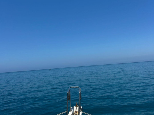 Arraial Vip Turismo-阿拉伊阿尔港必去景点