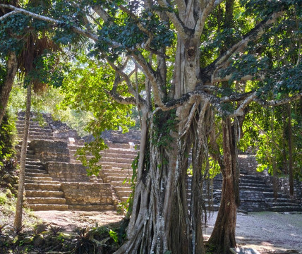 Chacchoben Ruins-Mahahual必去景点