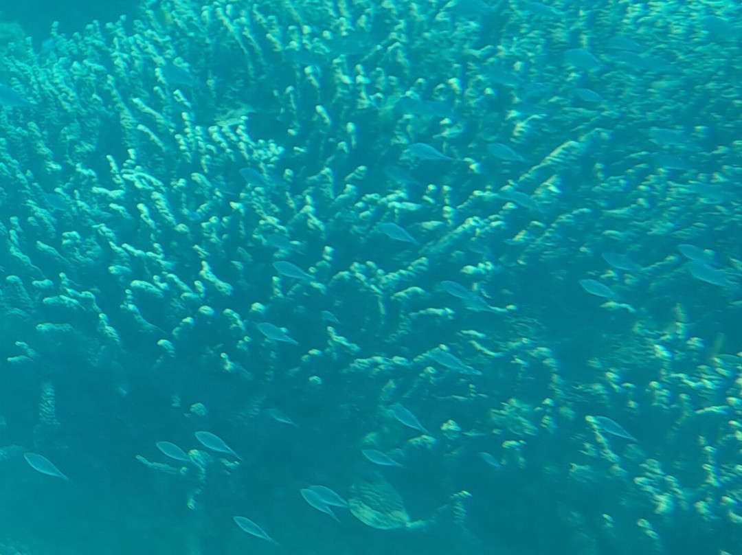 View Ningaloo-埃克斯茅斯必去景点