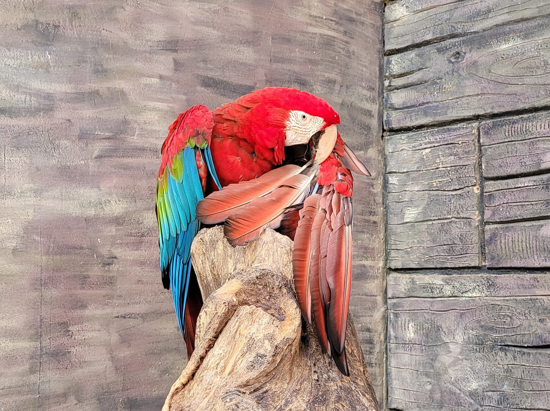 Ecopark Sol e Mar-Maragogi必去景点