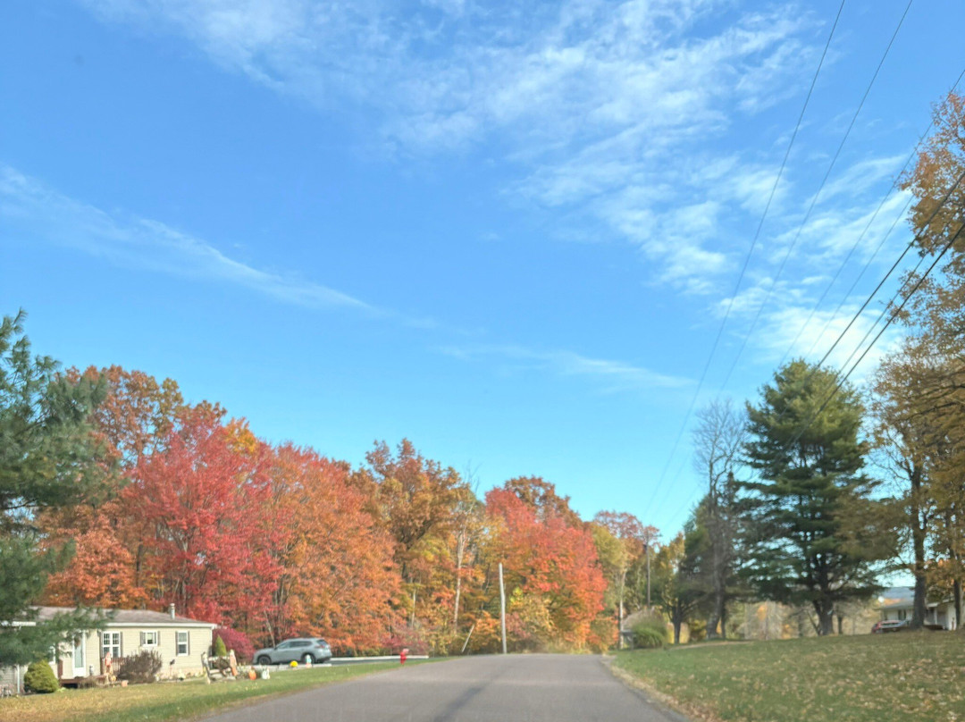 Ohiopyle State Park-Ohiopyle必去景点